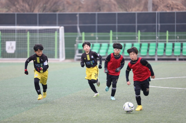 나주시, 유소년 축구 메카로 우뚝!…축구 꿈나무들이 선보인 명승부 기사 이미지
